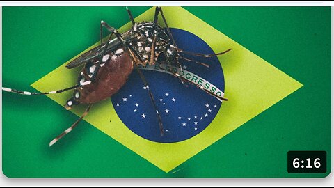 Bill Gates GMO Mosquitos Wreak Havoc In Brazil l John Bowne