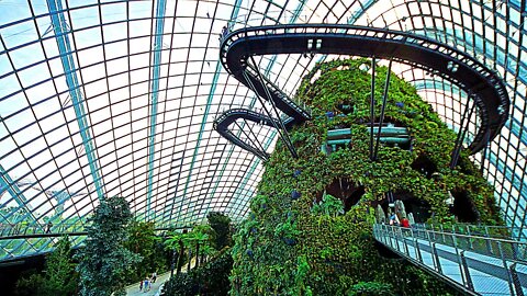 World's Tallest Indoor Waterfall - Cloud Forest