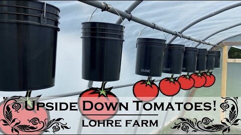 Building Upside Down 🍅 Tomato Planters