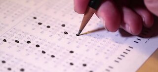 SAT testing may return this spring