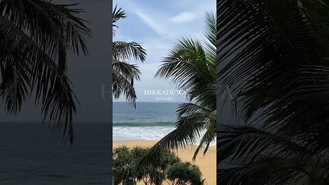 Hikkaduwa, Sri Lanka 🌴#travelsrilanka #hikkaduwa #beachvlog #travelvlog #traveling #srilanka