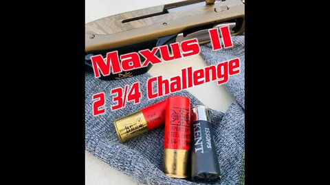 Maxus II Wicked Wings 2 3/4 12 Gauge Shotgun Shell Challenge. Boss vs Kent vs Winchester Super X.