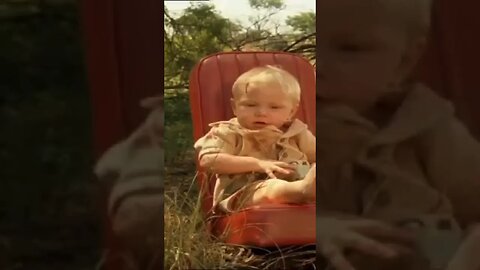 Fearless Baby Defends Against Fierce Lion in Incredible Showdown