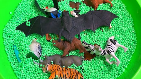 It's Time for Zoo Animal Toys