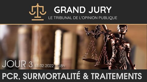 ⚖️Jour 3 - Grand Jury / Tribunal de l'Opinion Publique