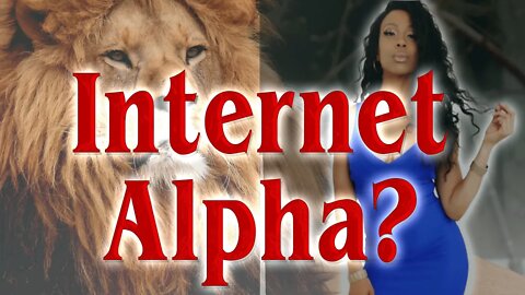 My Thoughts Will Probably Offend You – Alpha Male Non-Sense