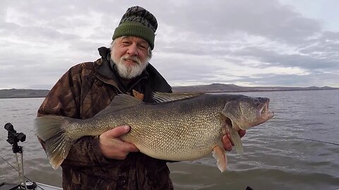Monster Columbia River Walleye Caught & Released | Hester's Sportfishing