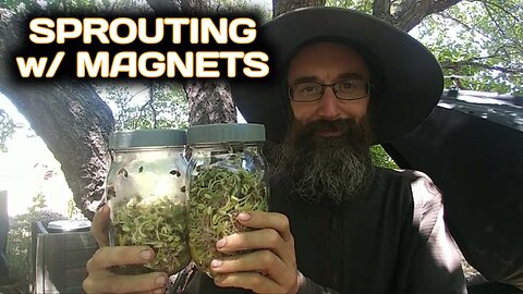 Sprouting with Magnets