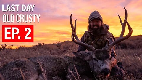 DOWN TO THE WIRE! | OLD MULEY BUCK | 4K FILM