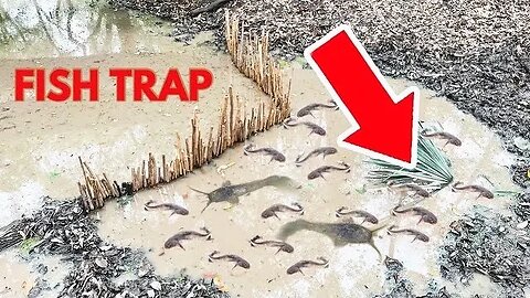 Easy Primitive Fish Trap That Actually Works!