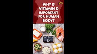 Why is Vitamin D Important For Human Body?