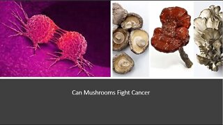 Mushrooms & Cancer