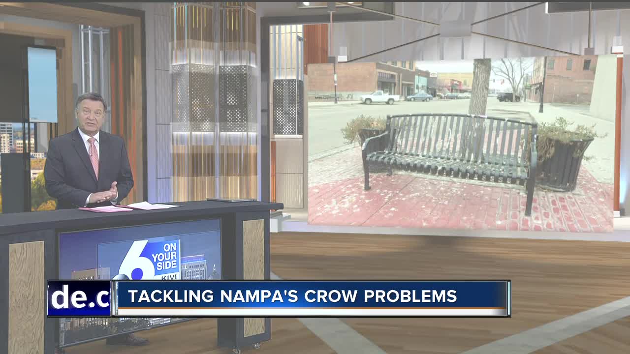 Tackling Nampa's crow problems