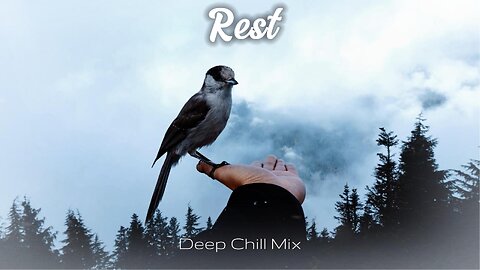 Rest | Deep Chill Music Mix
