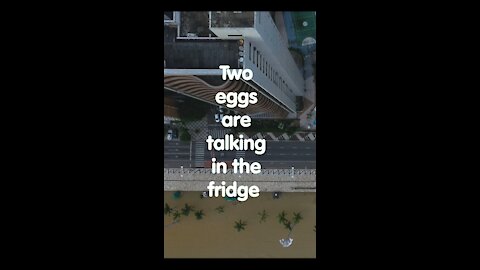 Two eggs are talking in the fridge