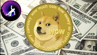 Dogecoin & The Future Of The USD