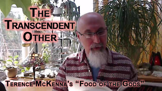 ASMR Book Club: Terence McKenna's “Food of the Gods", The Transcendent Other, p.41