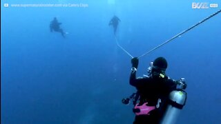 Un plongeur joue les équilibristes sous l'eau