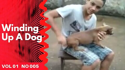 Winding Up A Dog