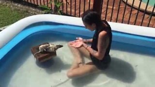 Australiensisk modell leker med sina råttor i poolen