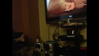 Dog Cries Because Of Mufasa's Death In Lion King