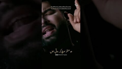 Mai Zainabؑ Hoon @MesumAbbas #bibizainab #mesumabbas #shorts #viral #1safar