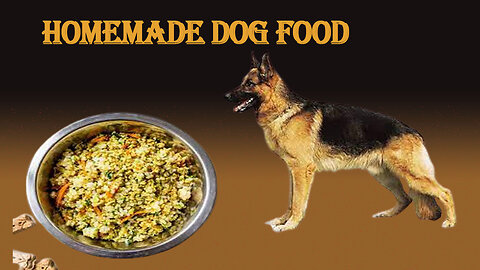 HOMEMADE DOG FOOD | healthy dog food recipe