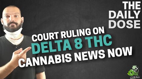 Delta 8 THC Appeals Court Ruling My Thoughts