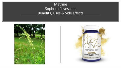 Matrine - Sophora flavescens - Benefits, Uses & Side Effects