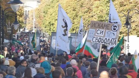 Bulgaria: Hundreds of anti-COVID restriction protesters take to streets in Sofia - 24.10.2021