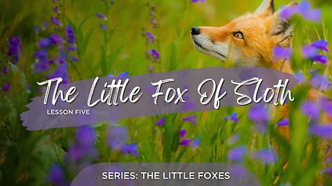 The Little Fox Of Sloth: Lesson Five