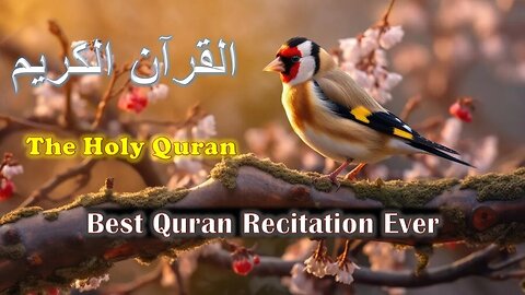 Quran Channel Official Live Stream - Recitation of Surah Ale - Imran