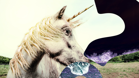 HowStuffWorks NOW: The Last Unicorn Died in Siberia