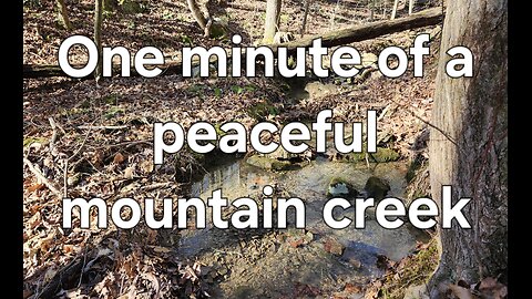 One minute of a peaceful mountain creek