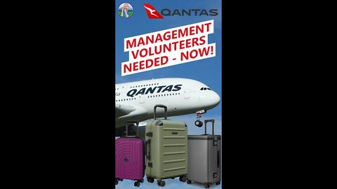 Luggage labor for QANTAS upper management staff 🇦🇺