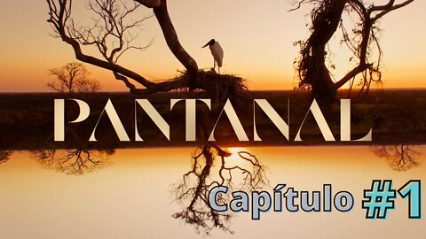 PANTANAL (NOVELA) - 1º CAPÍTULO