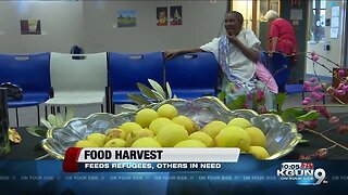 Refugees harvest produce from donors around Tucson