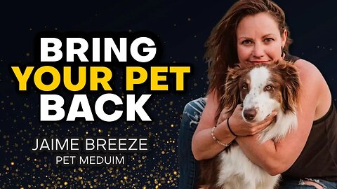 PET REINCARNATION, How To BRING BACK Your Beloved Pet, Animal Medium, Jaime Breeze TELLS ALL.