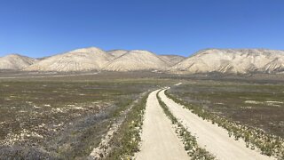 Carrizo National Monument CA