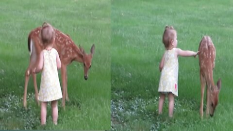 A little girl plays with a fawn Sunday evening in the Florence area