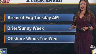 Angelica's Forecast