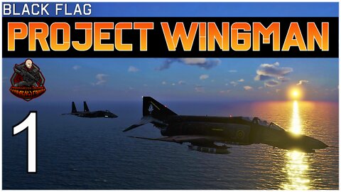 Project Wingman - Playthrough Mission 1: Black Flag