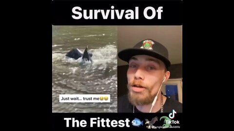 Survival Of The Fittest 🐟🦅🐊
