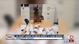 K-9 alert led to drug arrest and cash seized