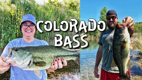 Back to LAKE OF FIRE in Colorado (PB largie crushed!!!)