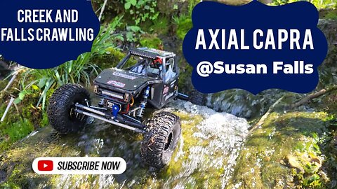 Axial Capra at Susan Falls, Kingsport Greenbelt in 4k