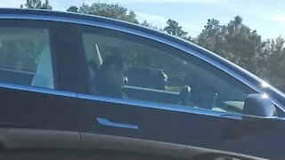 Driver sleeping at the wheel of his Tesla