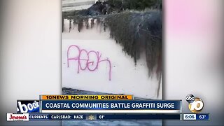 Coastal Communities Battle Graffiti Surge