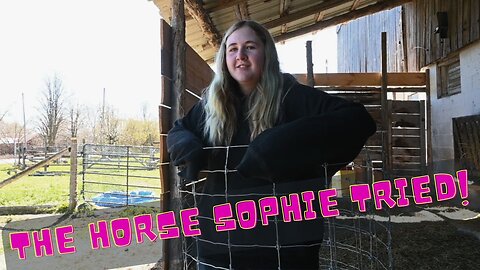 All About The Horse Sophie Tried!