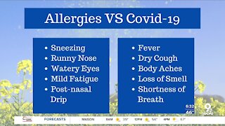 COVID-19 or seasonal allergies? What doctors want you to know